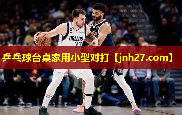 乒乓球台桌家用小型对打