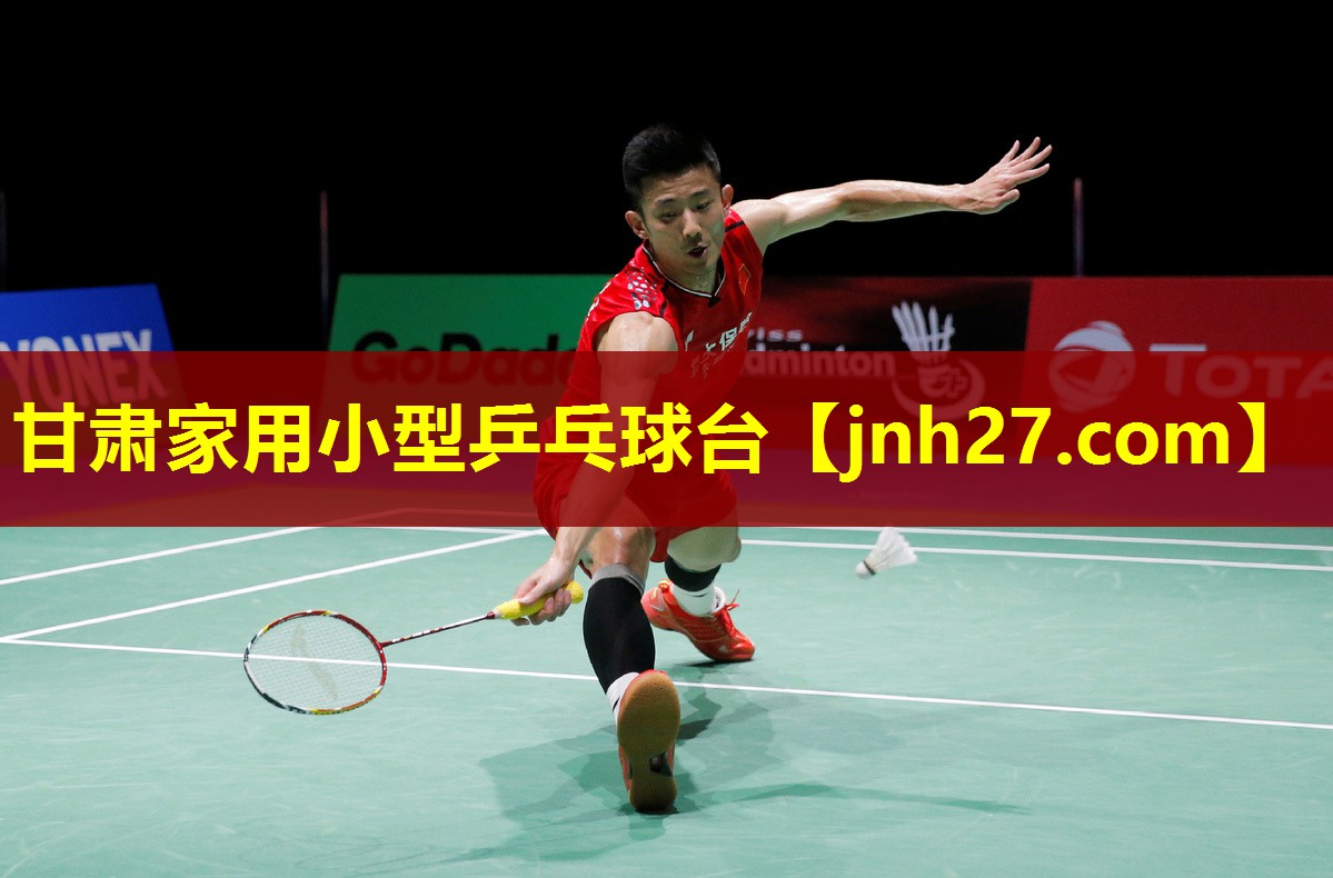 甘肃家用小型乒乓球台