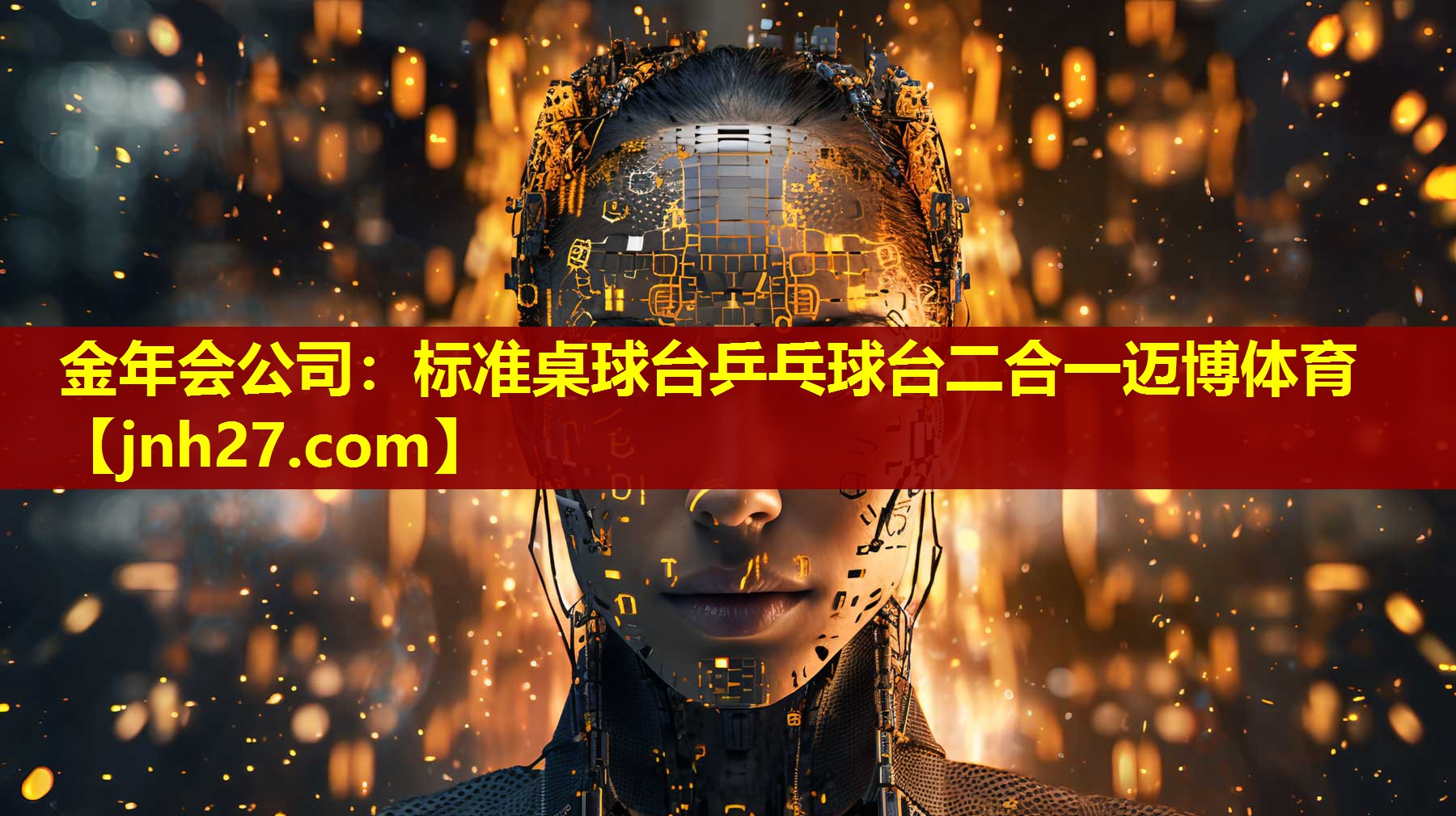 金年会公司：标准桌球台乒乓球台二合一迈博体育