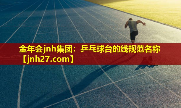 乒乓球台的线规范名称