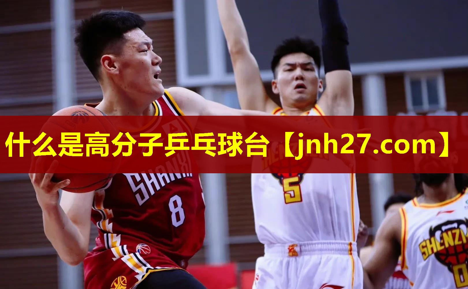 什么是高分子乒乓球台
